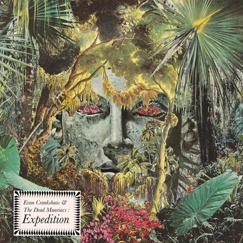 Expedition/Product Detail/Dance