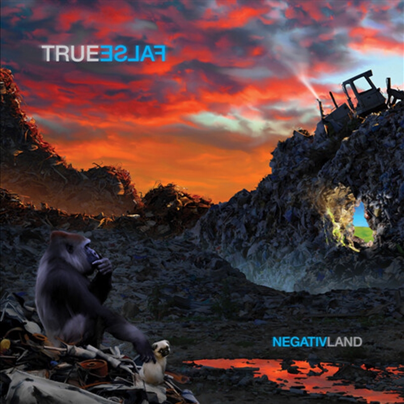 True False/Product Detail/Pop