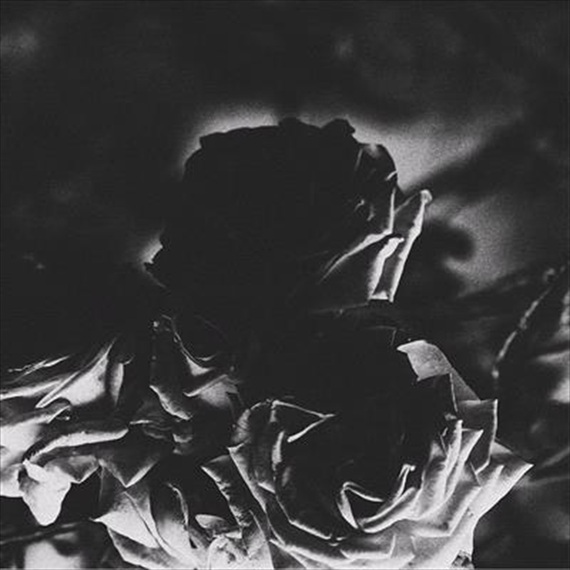 Split/Product Detail/Metal