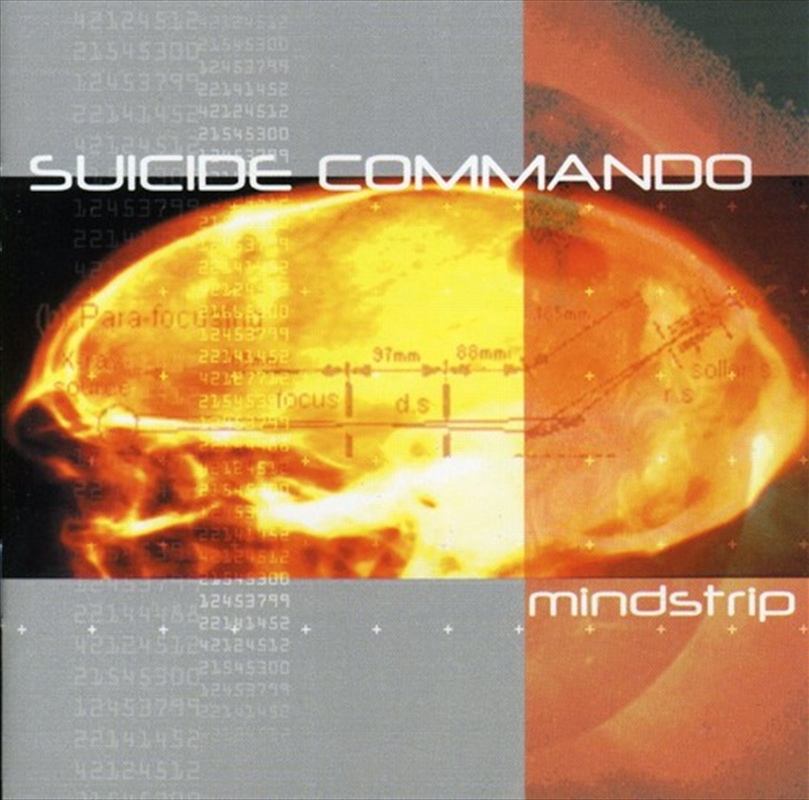 Mindstrip/Product Detail/Rock/Pop