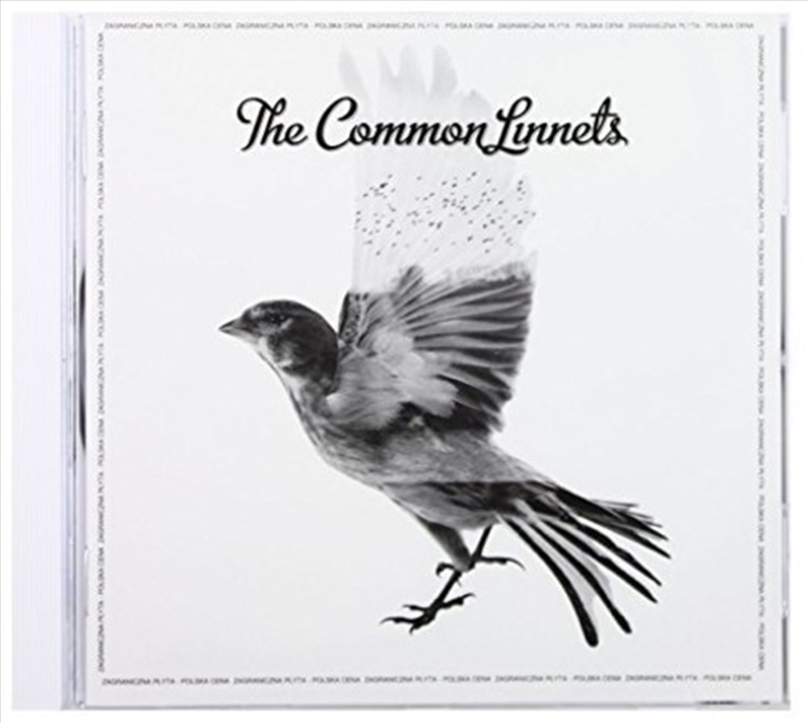 Common Linnets/Product Detail/Rock/Pop