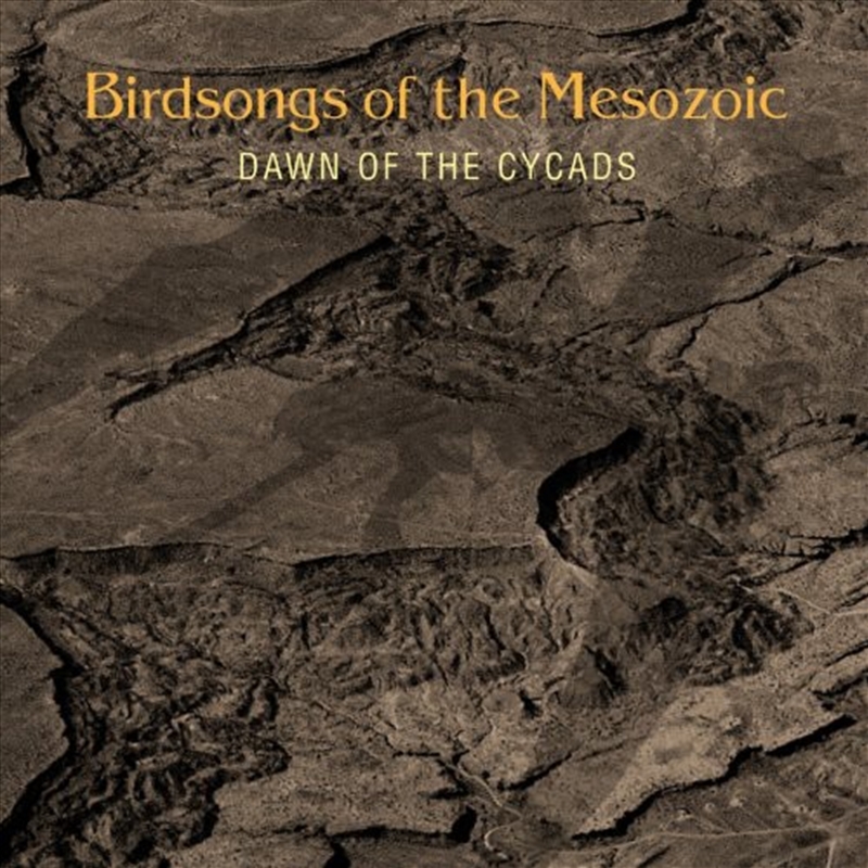 Dawn Of The Cycads/Product Detail/Rock/Pop