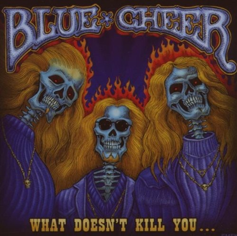 What Doesnt Kill/Product Detail/Rock/Pop