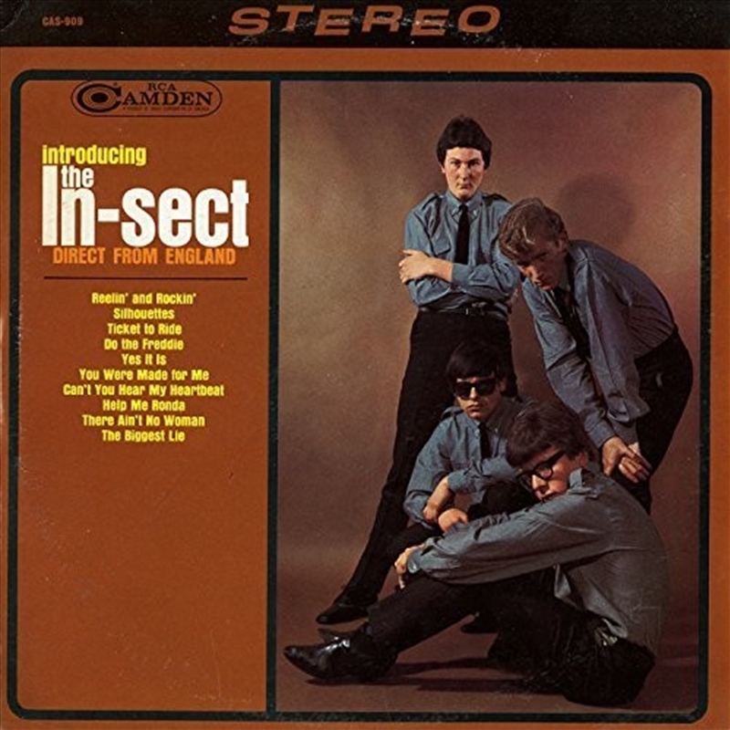 Introducing The In-Sect Direct From England/Product Detail/Pop