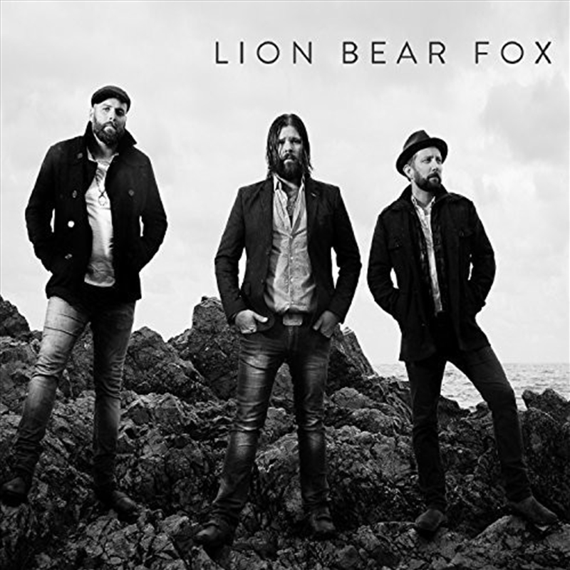 Lion Bear Fox/Product Detail/Rock