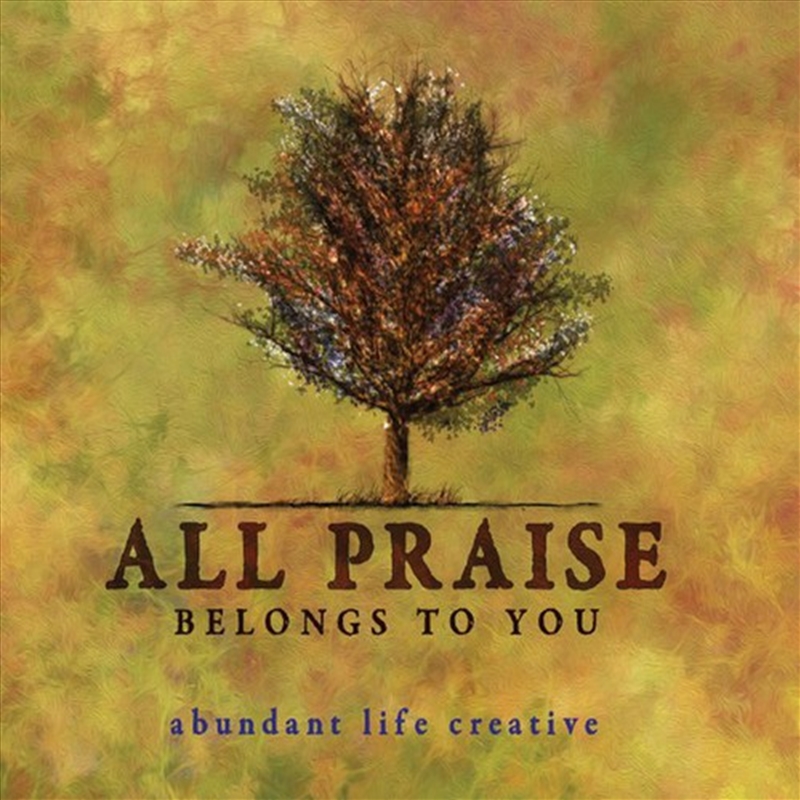 All Praise Computer Buy Abundant Life Creative - All Praise Belongs To You on CD | Sanity