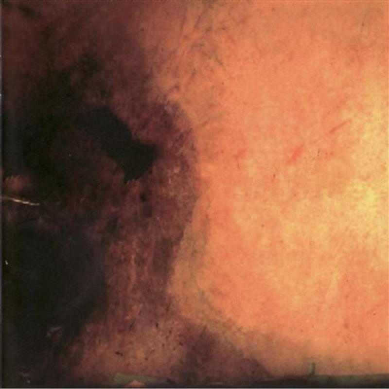 Song In The Air/Product Detail/Rock/Pop