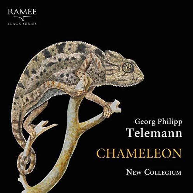 Chameleon/Product Detail/Classical