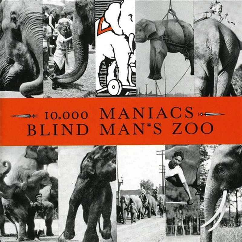 Blind Mans Zoo/Product Detail/Rock