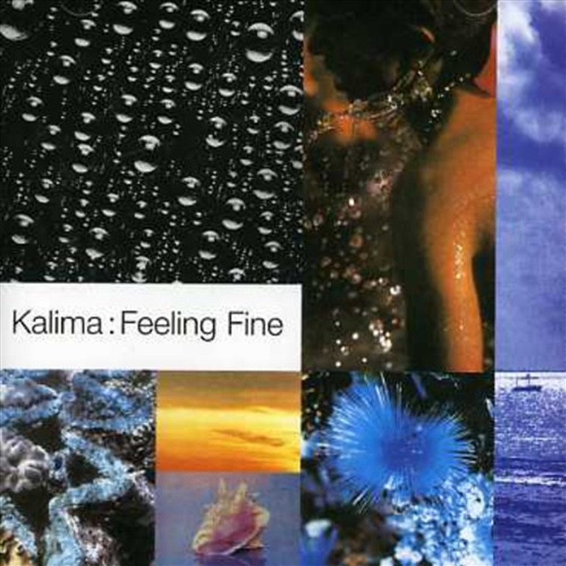 Feeling Fine: Singles/Product Detail/Rock/Pop