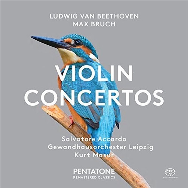 Beethoven And Bruch: Violin/Product Detail/Classical