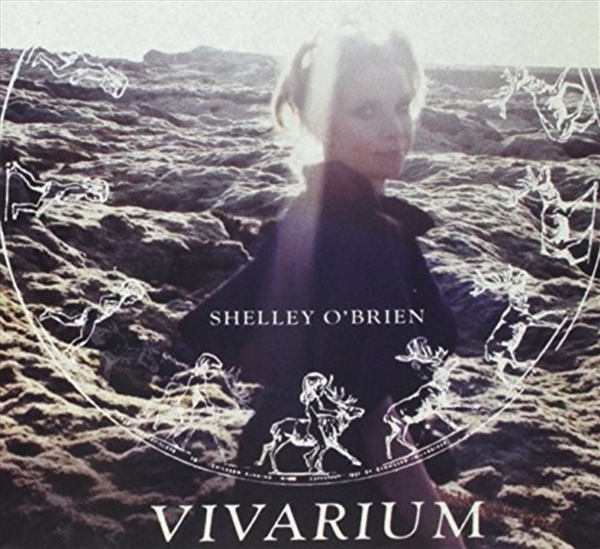 Vivarium/Product Detail/Rock