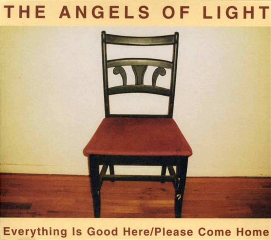 Everything Is Good Here / Please Come Home/Product Detail/Rock/Pop