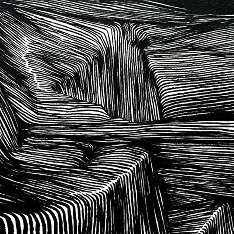 Magnetic Bodies / Maps Of Bone/Product Detail/Rock/Pop