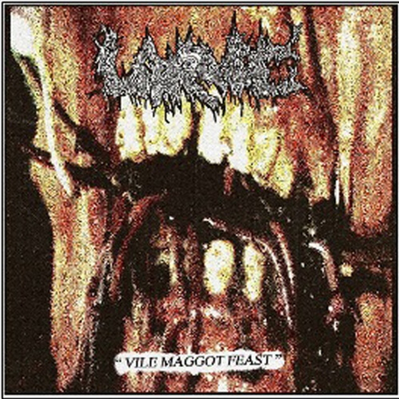 Vile Maggot Feast/Product Detail/Rock/Pop