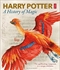Harry Potter: A History of Magic: The Book of the Exhibition