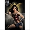 DC Comics Justice League Wonder Woman