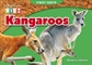 Steve Parish First Facts Story Book: Kangaroos