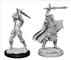 Dungeons & Dragons - Nolzur?s Marvelous Unpainted Minis: Male Human Paladin