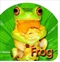 Steve Parish Board Book: Frog