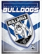 Team Logo Canterbury Bulldogs 1000 Piece Puzzle