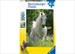 Horse In Flowers Puzzle 100pc