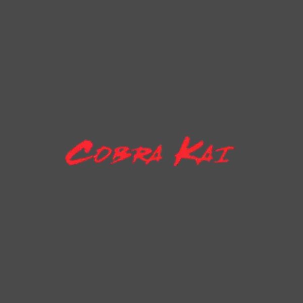 Cobra Kai DVD Collection at Sanity